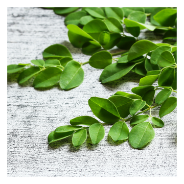 The Holy Grail of Skincare Ingredients