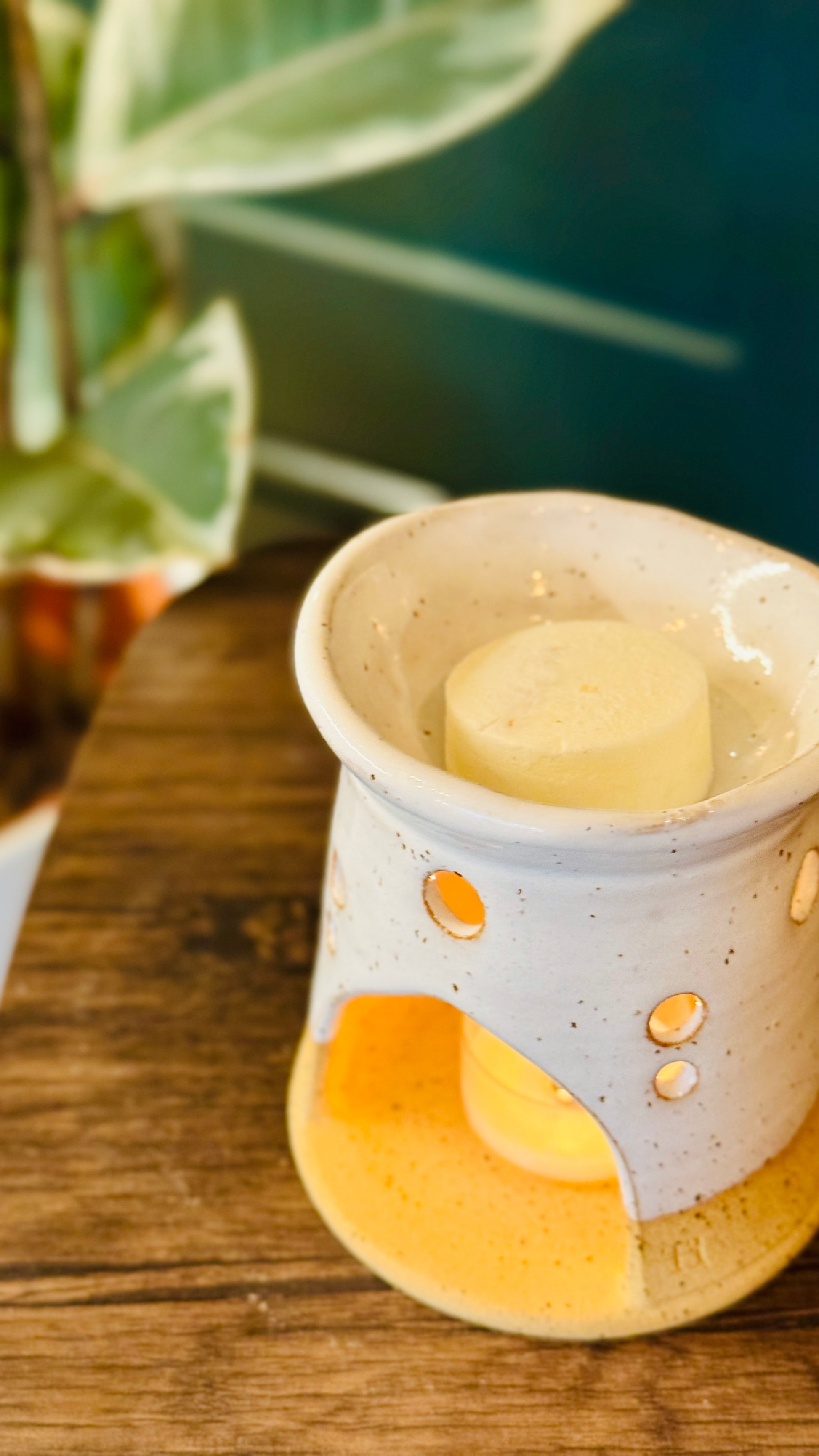 essential oil orange & lime wax melts with a wax melt burner in the background 